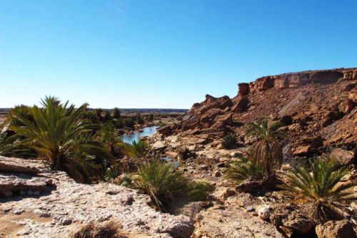 Day Trip to Safsaf from Merzouga→ Merzouga Tours - Day Trip to Safsaf Oasis