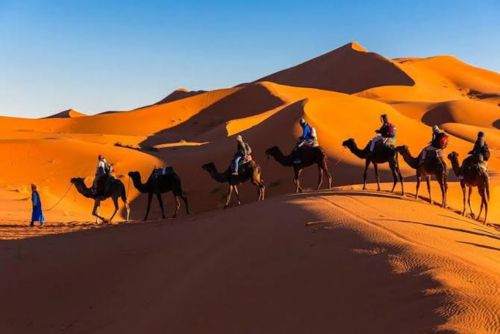 Merzouga Sunset Camel Ride
